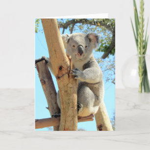 Koala-fications Make You the Best ______ Card