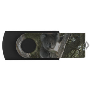 Koala Flash Drive