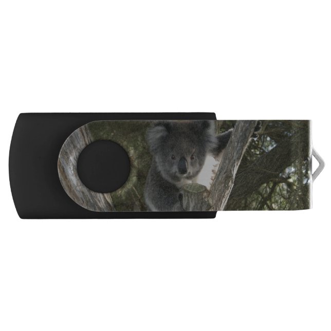 Koala Flash Drive (Front)
