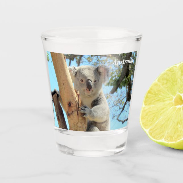 Koala from Down Under - Australia Shot Glass (Front)
