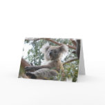 Koala Greeting Card