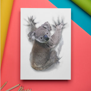 Koala Hang On Back Cute Bear Australia Animal Postcard