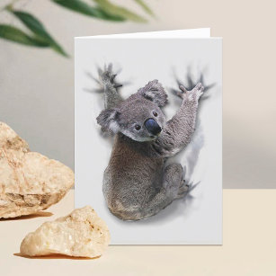Koala Hang On Back Cute Bear Australia Animal Thank You Card