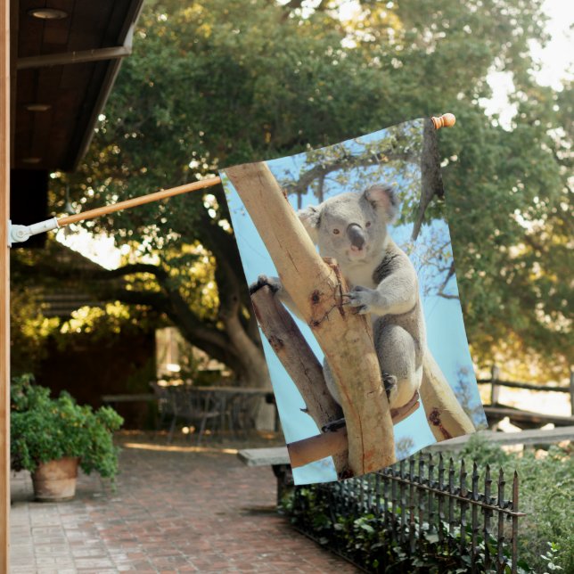 Koala House Flag (In SItu)