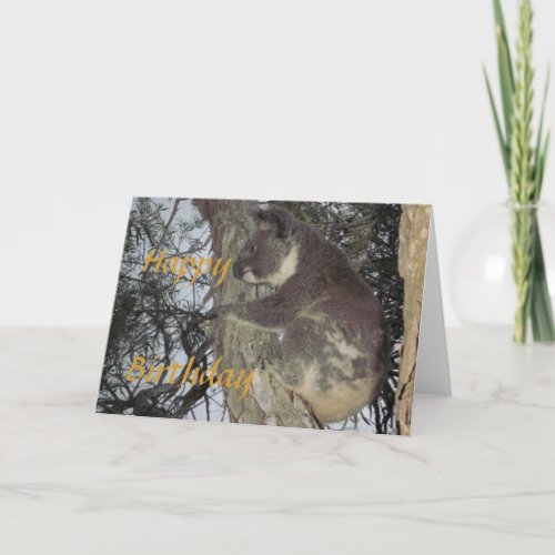 Koala hugging Tree Birthday Card