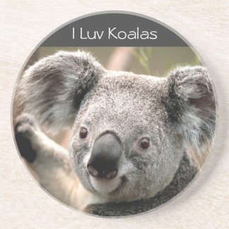 Koala, I Luv Koalas Coaster