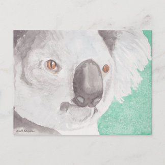 Koala I Postcard