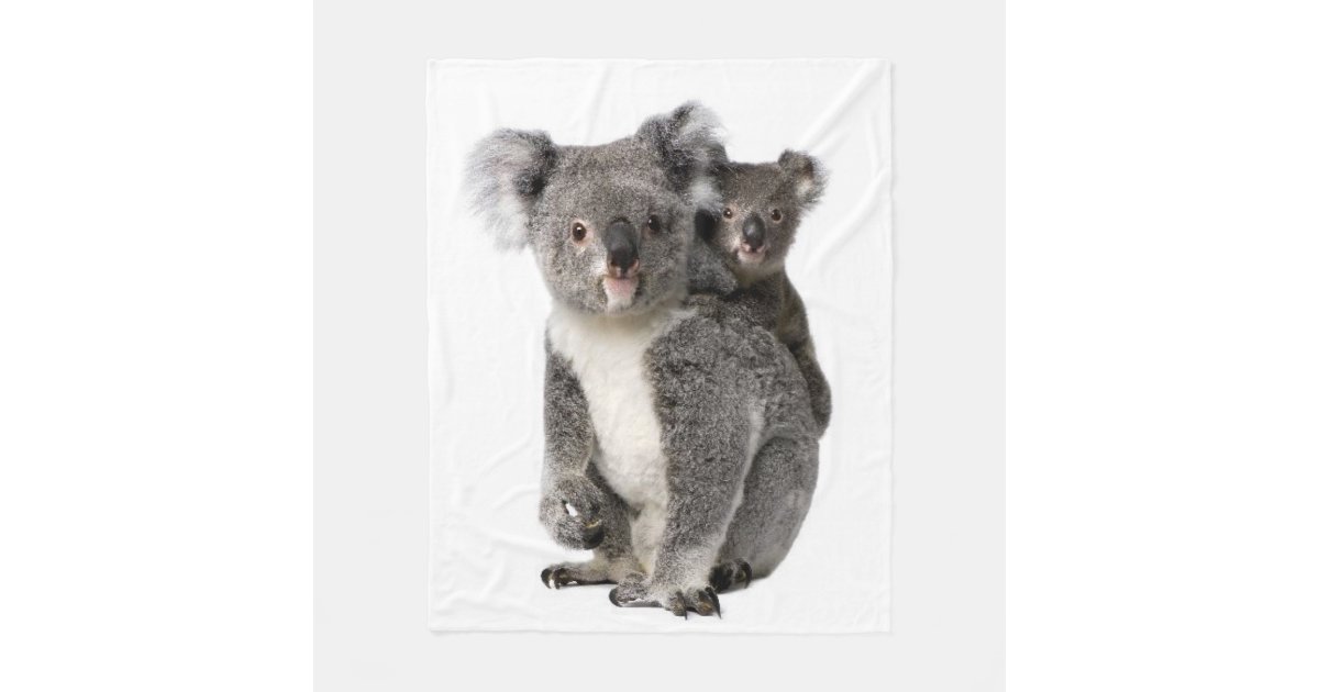 Koala Image For Fleece Blanket Zazzle Com