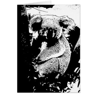 Koala in Black and White Cards