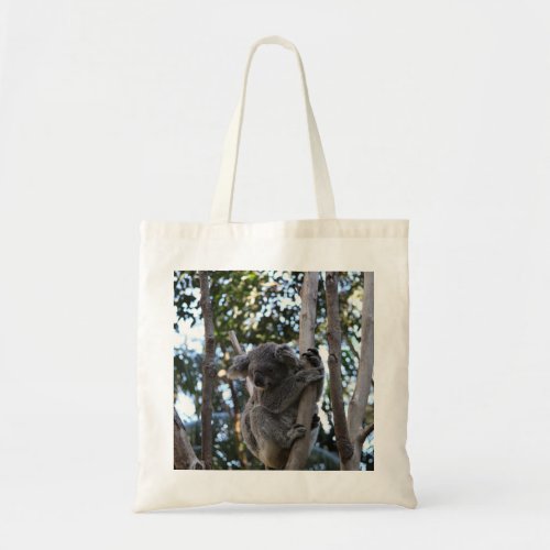 Koala in Eucalypt tree on Gold Coast Australia Tote Bag