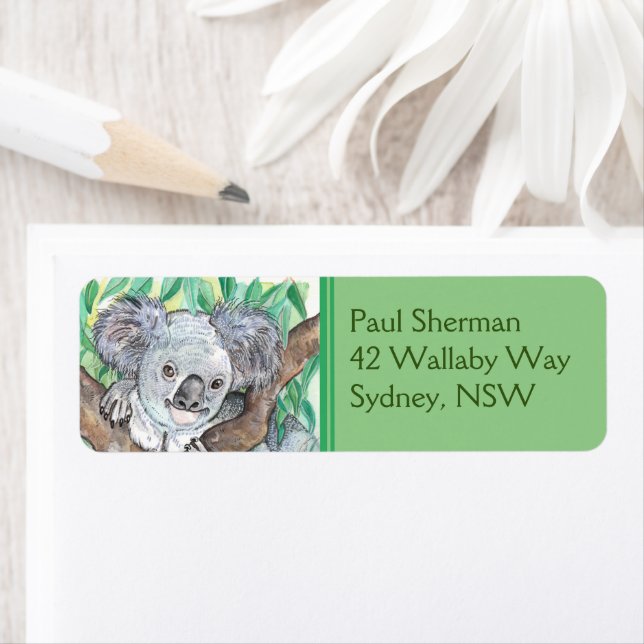 Koala in Eucalyptus Tree Painting Label (Insitu)