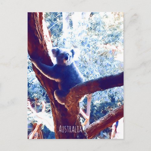 Koala in tree animal Australia Postcard