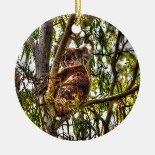 KOALA IN TREE QUEENSLAND AUSTRALIA ART EFFECTS CERAMIC ORNAMENT