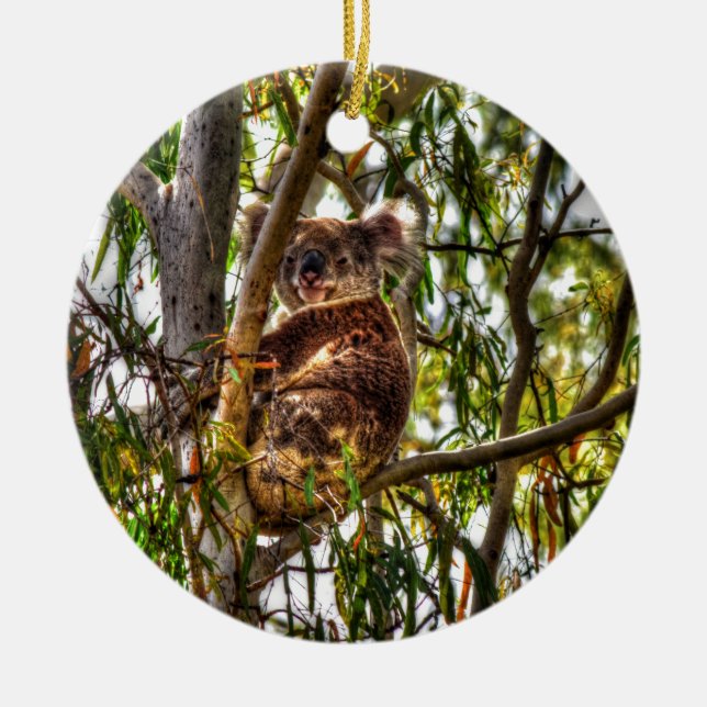 KOALA IN TREE QUEENSLAND AUSTRALIA ART EFFECTS CERAMIC ORNAMENT (Front)