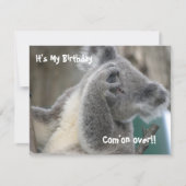 Koala Invite Birthday Party (Front)