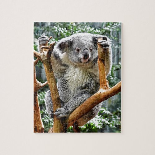 Koala Jigsaw Puzzle