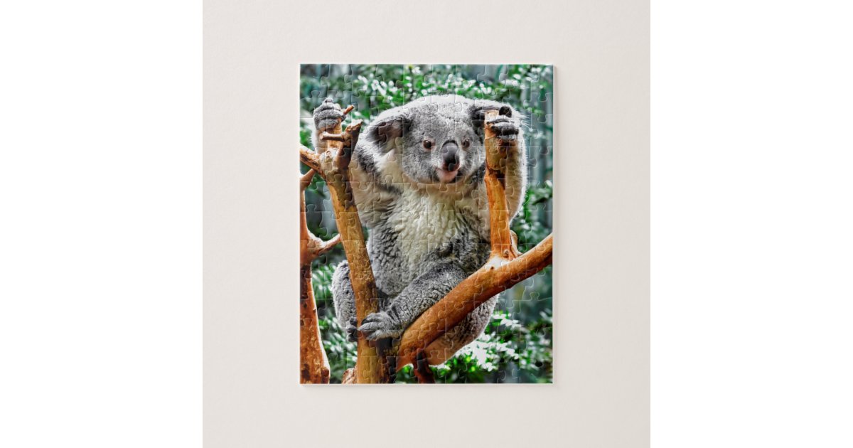 Koala Jigsaw Puzzle | Zazzle