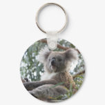 Koala Keychain