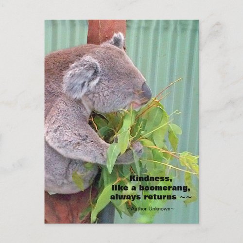 Koala Kindness Quote Postcard