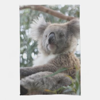 Koala Kitchen Towel by WildlifeAnimals at Zazzle