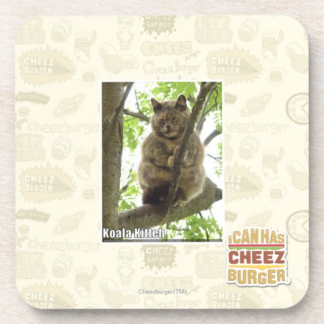 Koala Kitteh Beverage Coaster (Front)