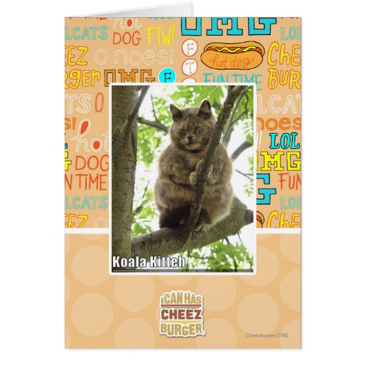 Koala Kitteh Cards (Front)