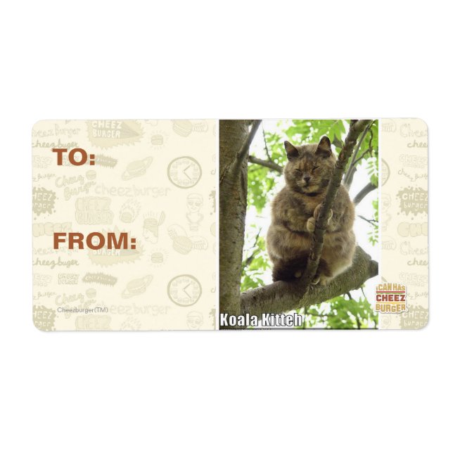 Koala Kitteh Label (Front)