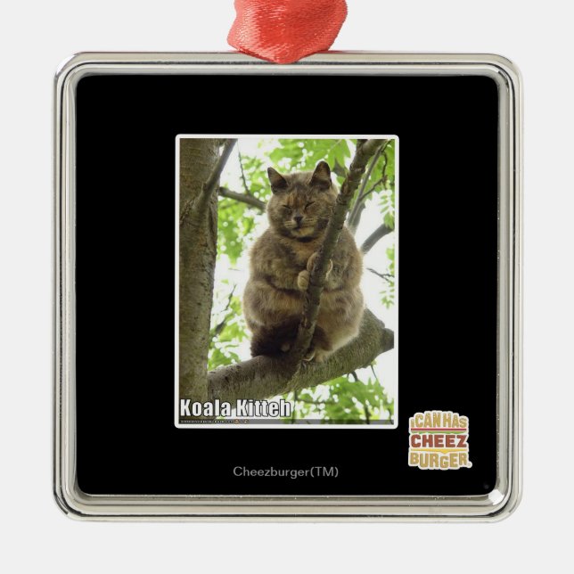 Koala Kitteh Metal Ornament (Front)