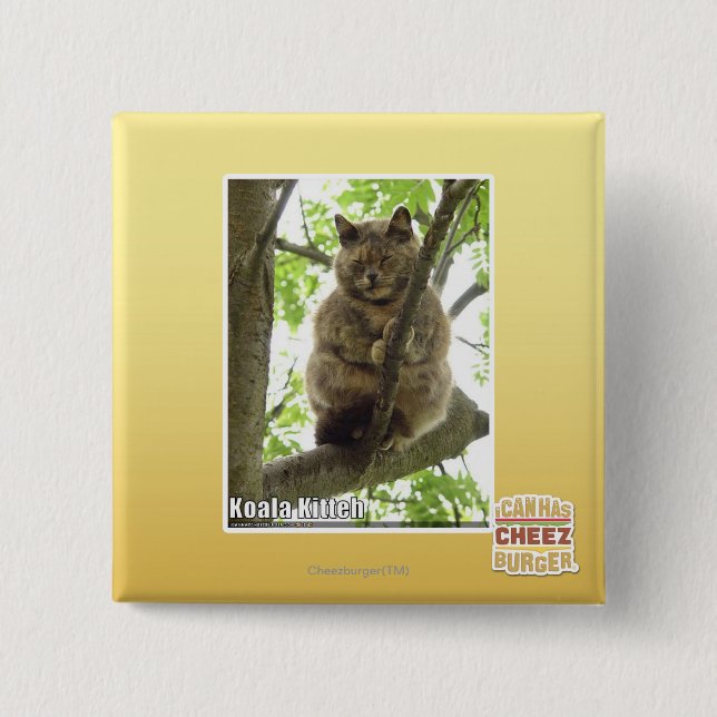 Koala Kitteh Pinback Button (Front)
