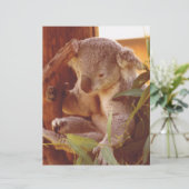 Koala love (Standing Front)