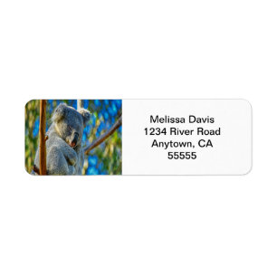 Koala Love Address Labels