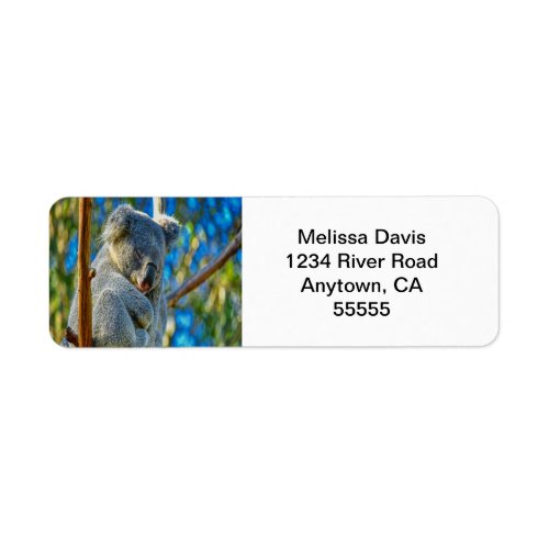 Koala Love Address Labels