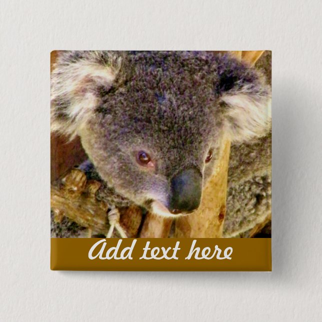 Koala Love_ Pinback Button (Front)