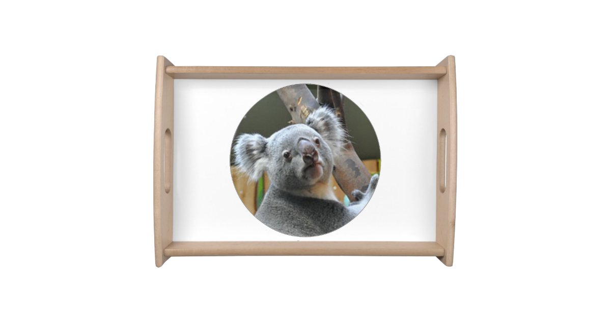 "Koala" matching kitchen/dining accessories Serving Tray ...