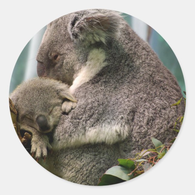 Koala Mom and New Baby Classic Round Sticker (Front)