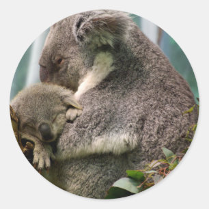 Koala Mom and New Baby Classic Round Sticker