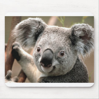 Koala Mouse Pad