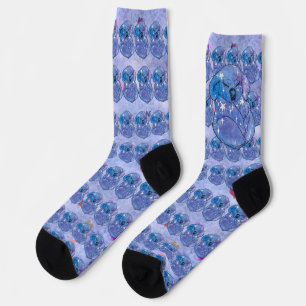 Koala named Seven Socks