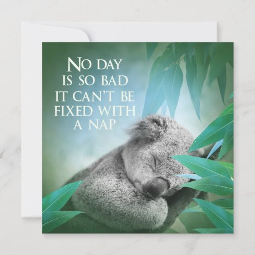 Koala Nap Card