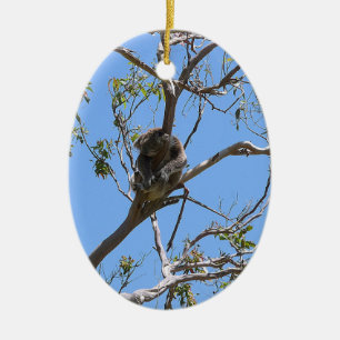 Koala Nap Ceramic Ornament