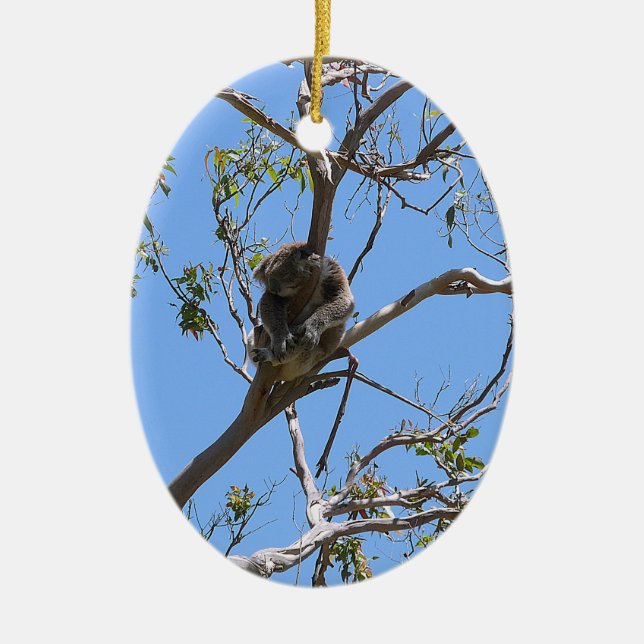 Koala Nap Ceramic Ornament (Front)