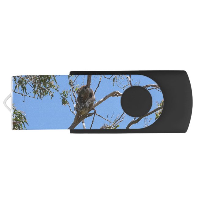 Koala Nap Flash Drive