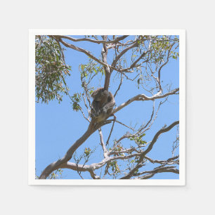 Koala Nap Napkins