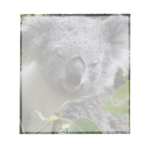 koala notes