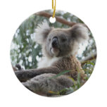 Koala Ornament