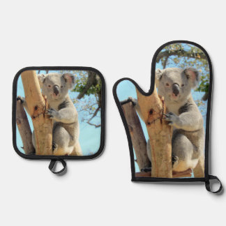 Koala  oven mitt & pot holder set