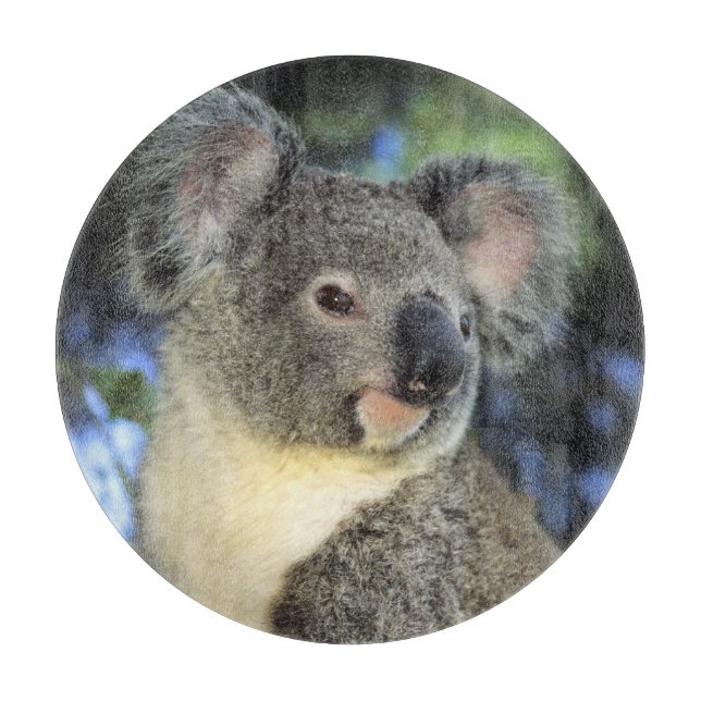 Koala, Phascolarctos cinereus), Australia, Cutting Board (Front)