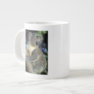Koala, Phascolarctos cinereus), Australia, Giant Coffee Mug