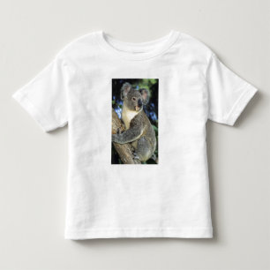 Koala, Phascolarctos cinereus), Australia, Toddler T-shirt