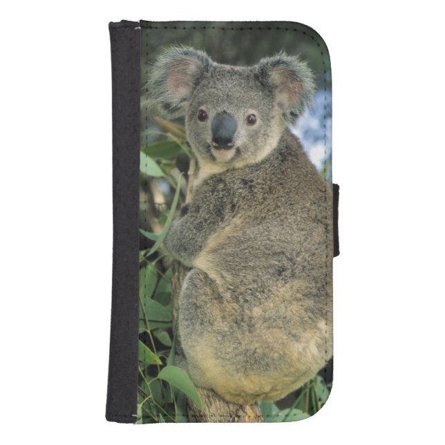 Koala, Phascolarctos cinereus), endangered, Samsung Galaxy Wallet Case (Front)